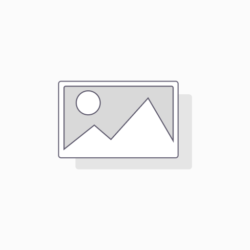 Dell Pro 13 Plus (PB13250) | U5 | 13.3(Non-touch) | 8GB | 256GB | WiFi
